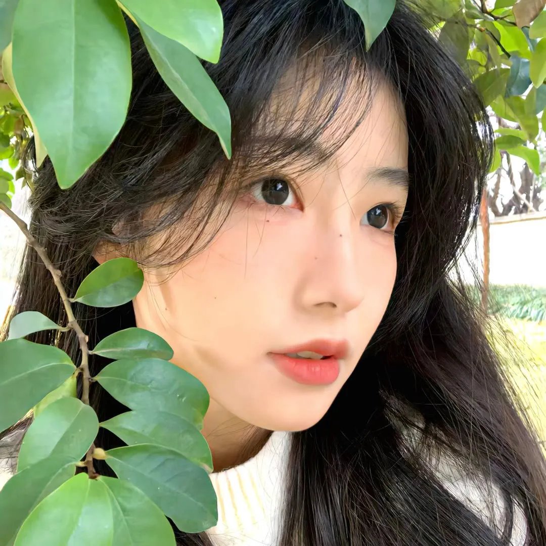 马戏女郎